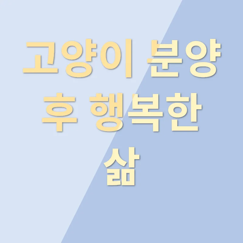 고양이 분양_3