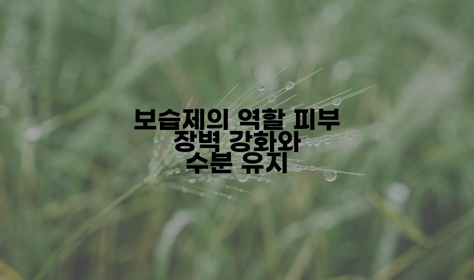 보습제의 역할 피부 장벽 강화와 수분 유지
