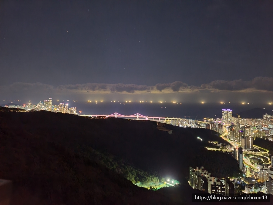 자갈치시장. 모두 싸게는 아니지만 신선함은 보장! (feat. 황령산 봉수대 야경) 부산 볼거리 :: 골라먹는 해산물 축제 11