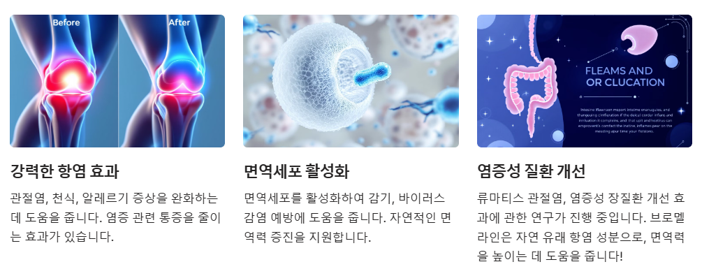 항염작용 면역력 강화