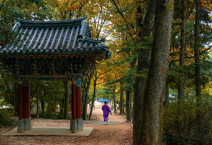 전남청년 문화복지카드 2025 신청