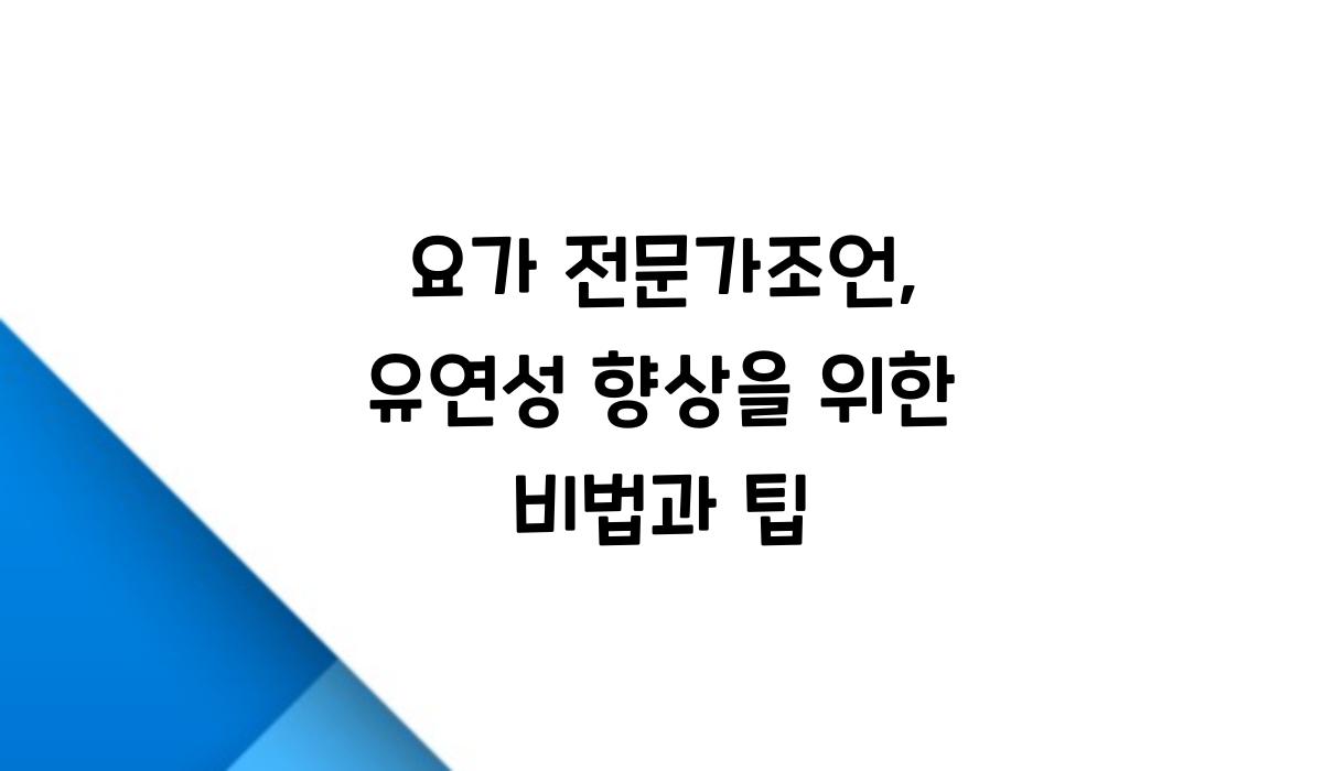 요가 전문가조언