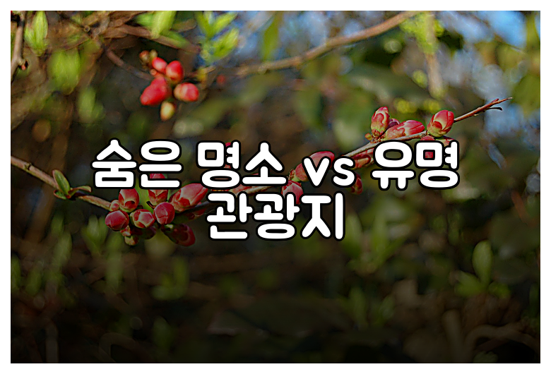 숨은 명소 vs 유명 관광지