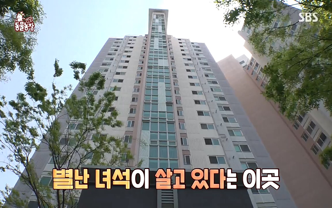 TV 동물농장.E1070.220523p-NEXT.mp4_20220522_182017.025.jpg