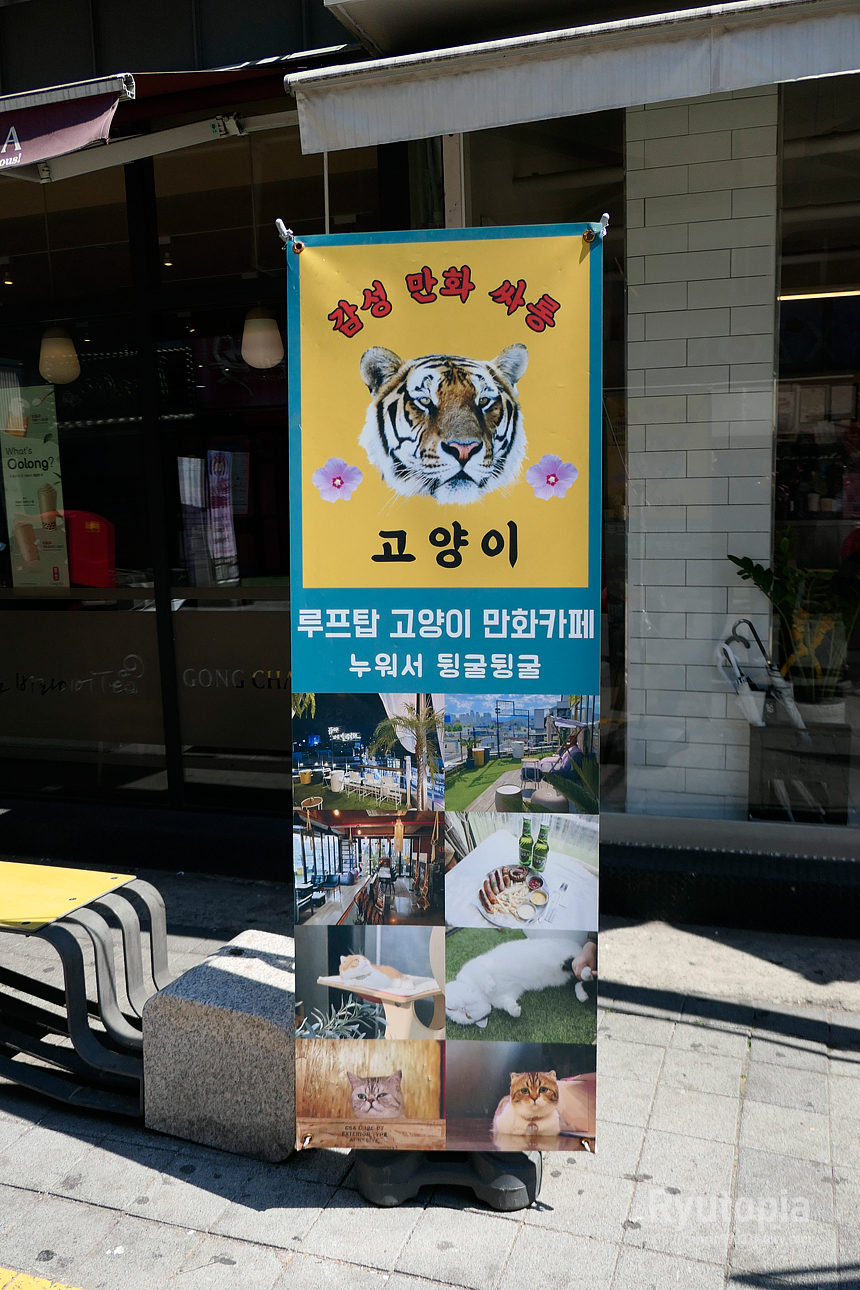 싸이뮤직게임월드 이미지