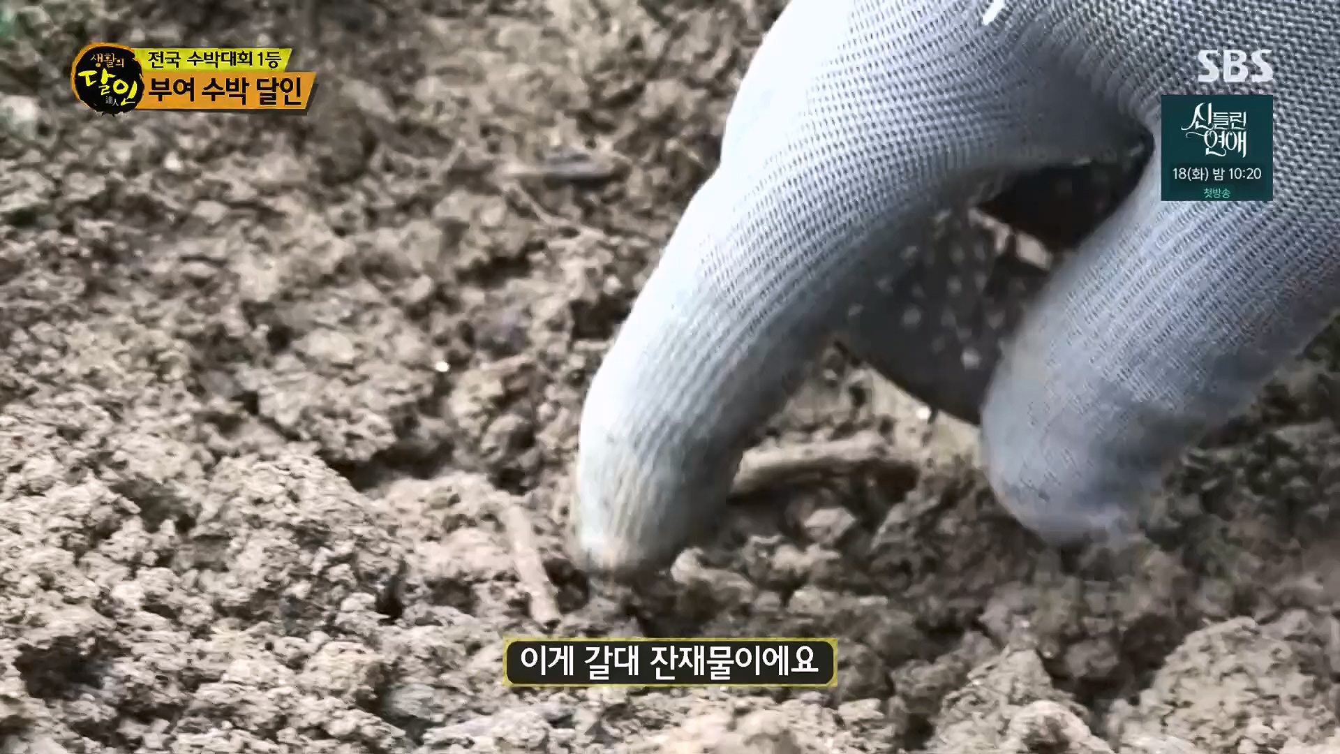 생활의 달인.E939.240610p.H264-F1RST.mp4_20240611_200851.961.jpg