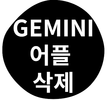 gemini 어플