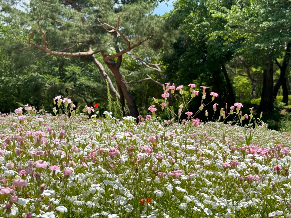 서울대공원