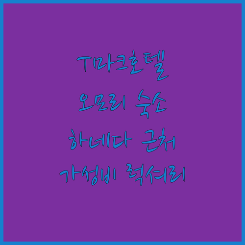 T마크 시티 호텔 도쿄 오모리 하네다