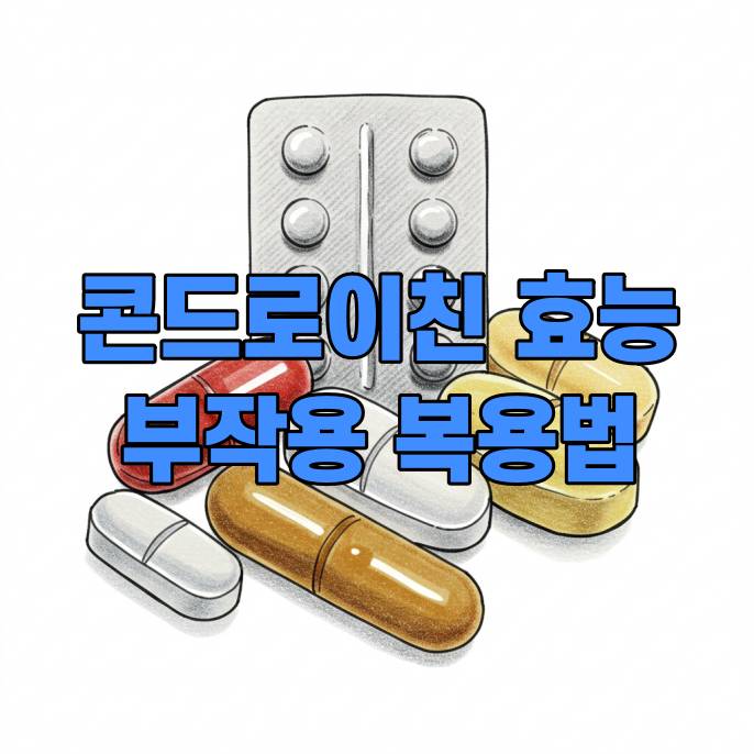 콘드로이친 효능 부작용 복용법