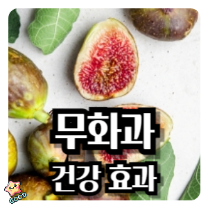 무화과-건강-효과