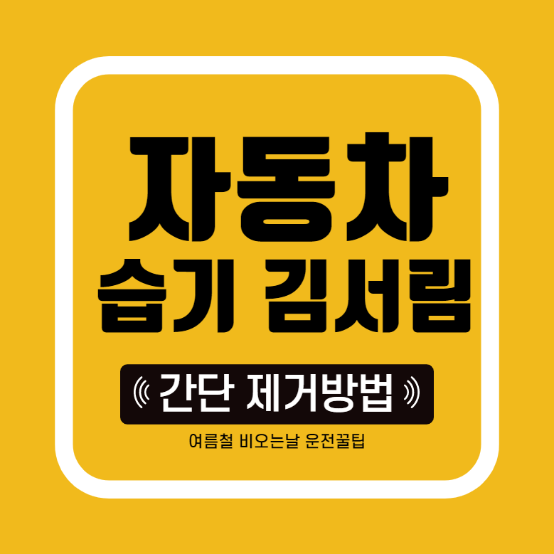  여름철 비올때 장마철 자동차 안 유리 김서림 습기 제거방법