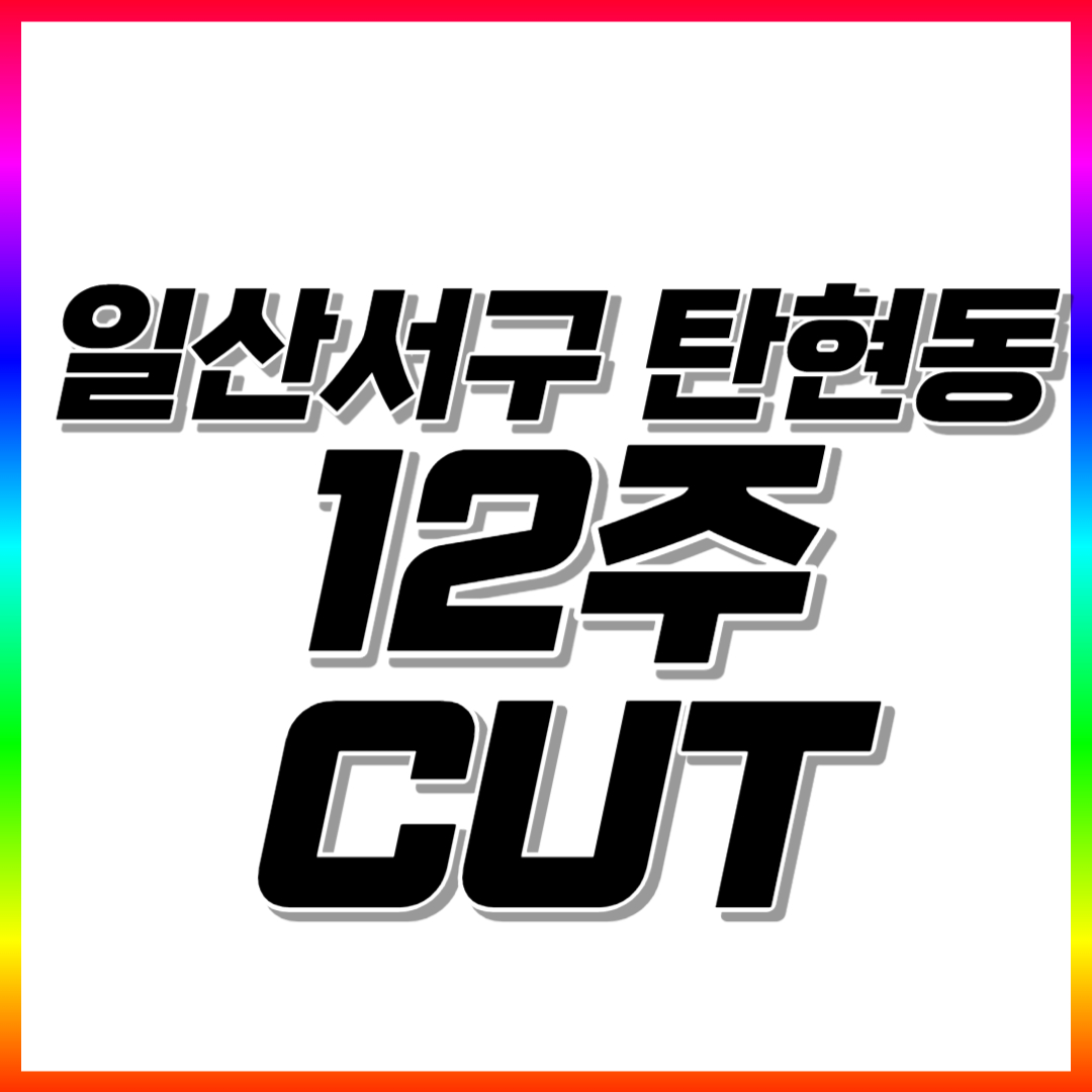 일산서구 초등 수학과외 탄현동 고등 중학생 영어과외 전과목 일대일 맞춤수업 공부법 코칭수업