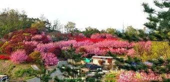 전주 완산칠봉 꽃동산 등산로 벙커 코스_17
