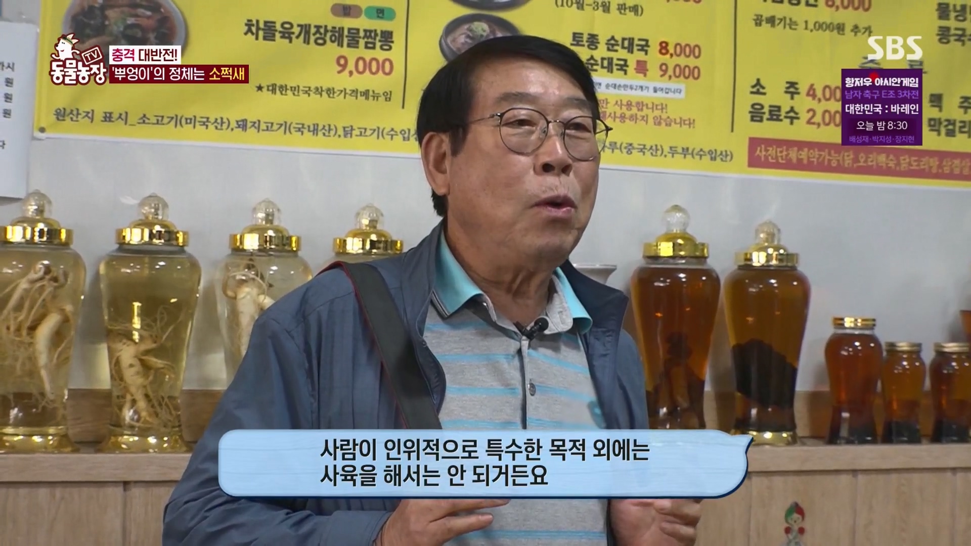 TV 동물농장.E1139.230924p.H264-F1RST.mp4_20230924_170930.244.jpg