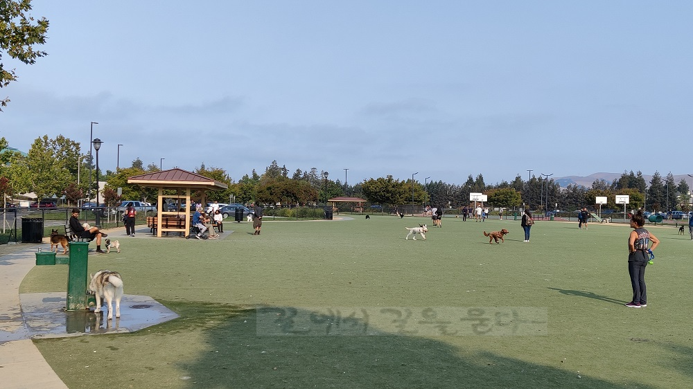 Fremont Dog Park&#44;CA