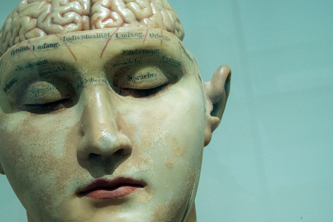 'Brain artery'