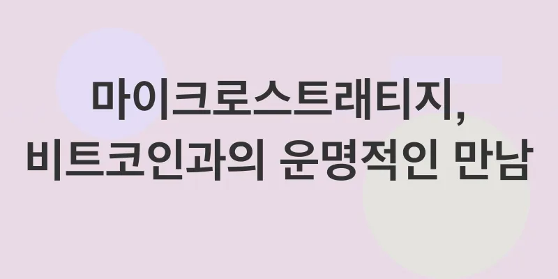 마이크로스트래티지 투자_1