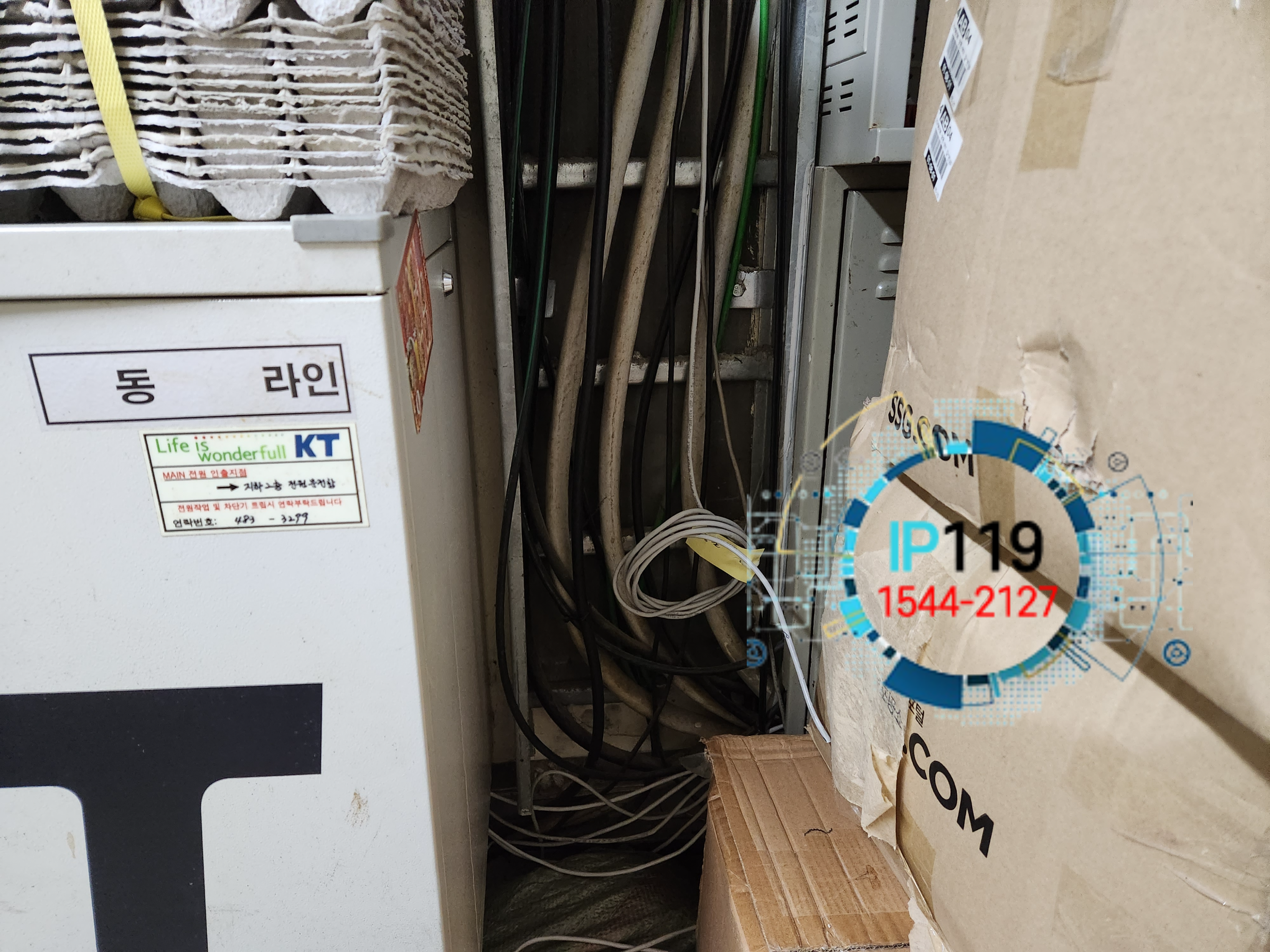  은평구 건물 전체 랜선교체 당일에 시공 가능합니다!