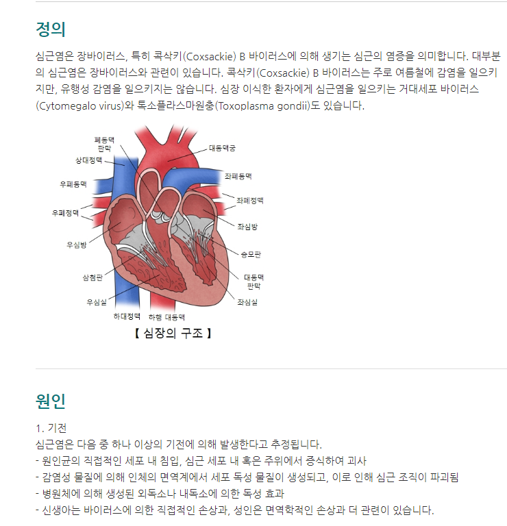 심근염 사진