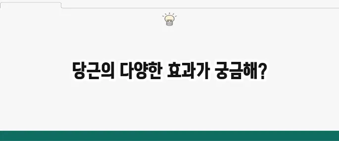 당근 효능: 눈 건강부터 면역력까지, 놀라운 효과 총정리