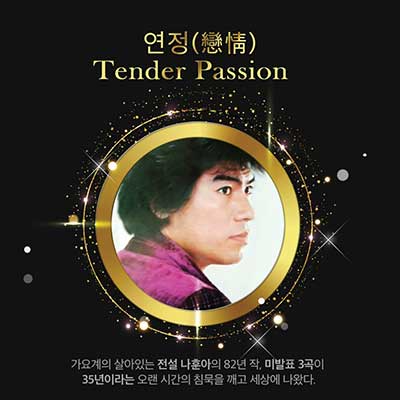 연정---나훈아