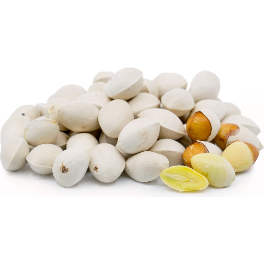  은행 Ginkgo Nut 에 대해서 알아볼게요.