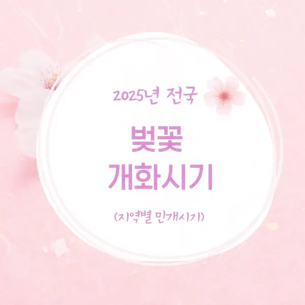 2025년 전국 벚꽃 개화시기 지역별 만개시기