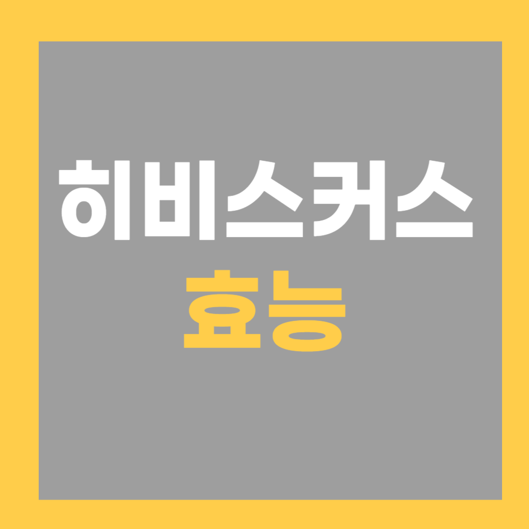 히비스커스 효능