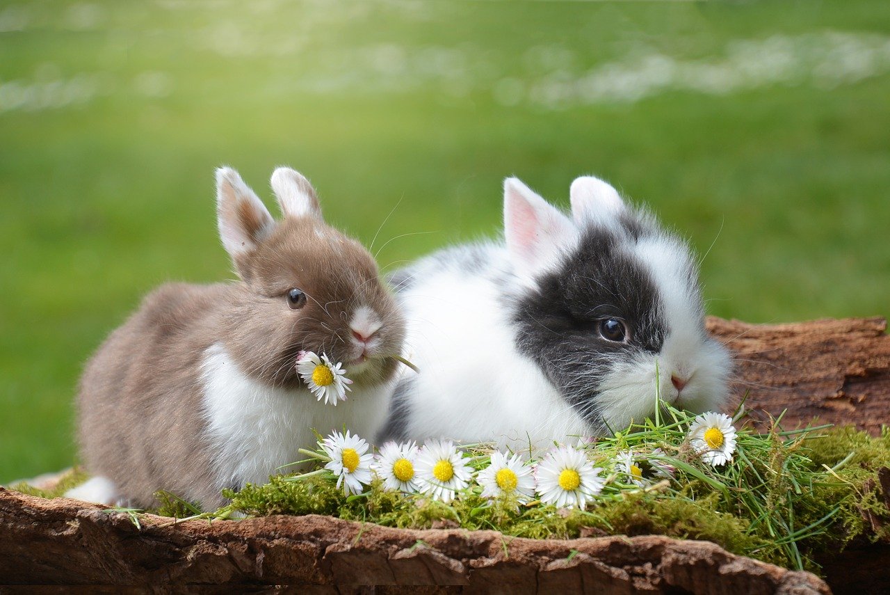 성장과 안정 두마리 토끼를 잡을 수 있을까?