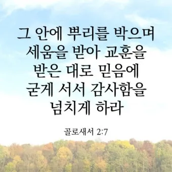 골로새서 2장 7절 묵상 - 그 안에 뿌리를 박으며 세움을 받아 교훈을 받은 대로 믿음에 굳게 서서_13