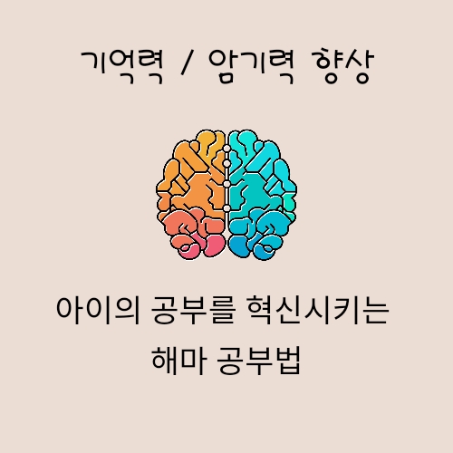  아이의 공부를 혁신시키는 해마 공부법
