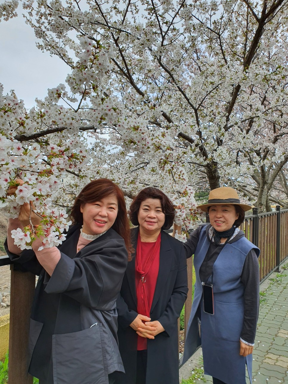 제주 여행사 추천 제주여행사 추천 인기 23