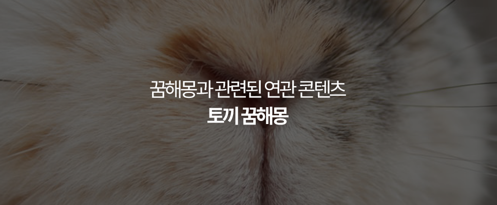 꿈해몽과 관련된 연관 콘텐츠