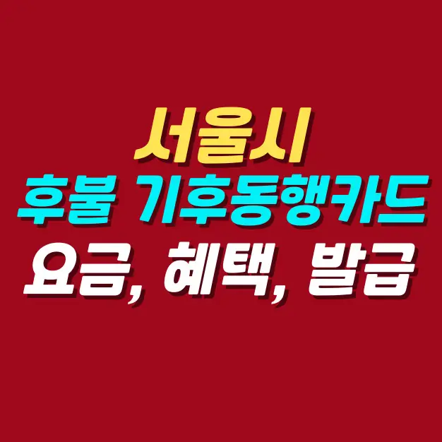 서울시-후불-기후동행카드