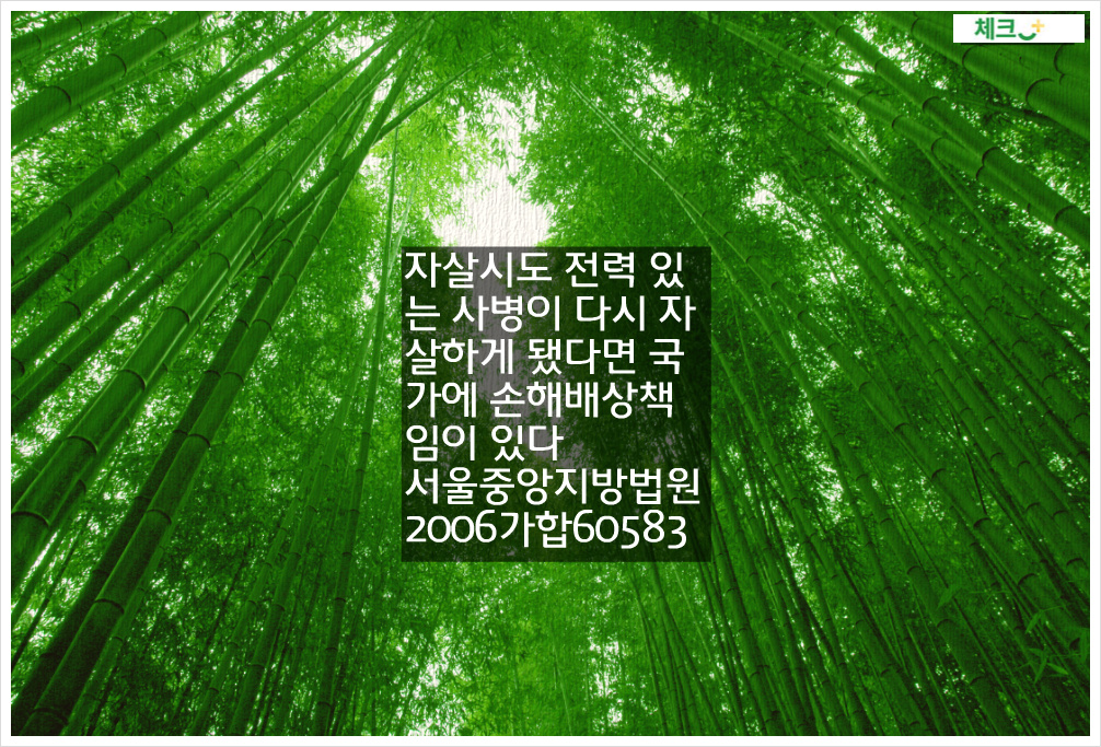 자살시도 전력 있는 사병이 다시 자살하게 됐다면 국가에 손해배상책임이 있다