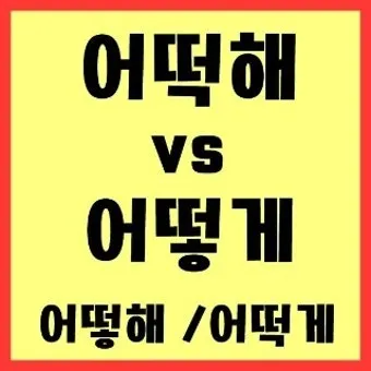 어떻게 어떡해 맞춤법 맞는 표현_23