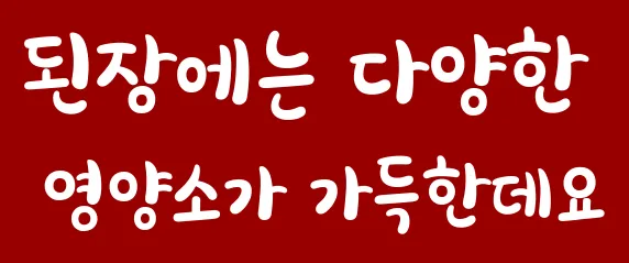된장에는 다양한 영양소가 가득한데요