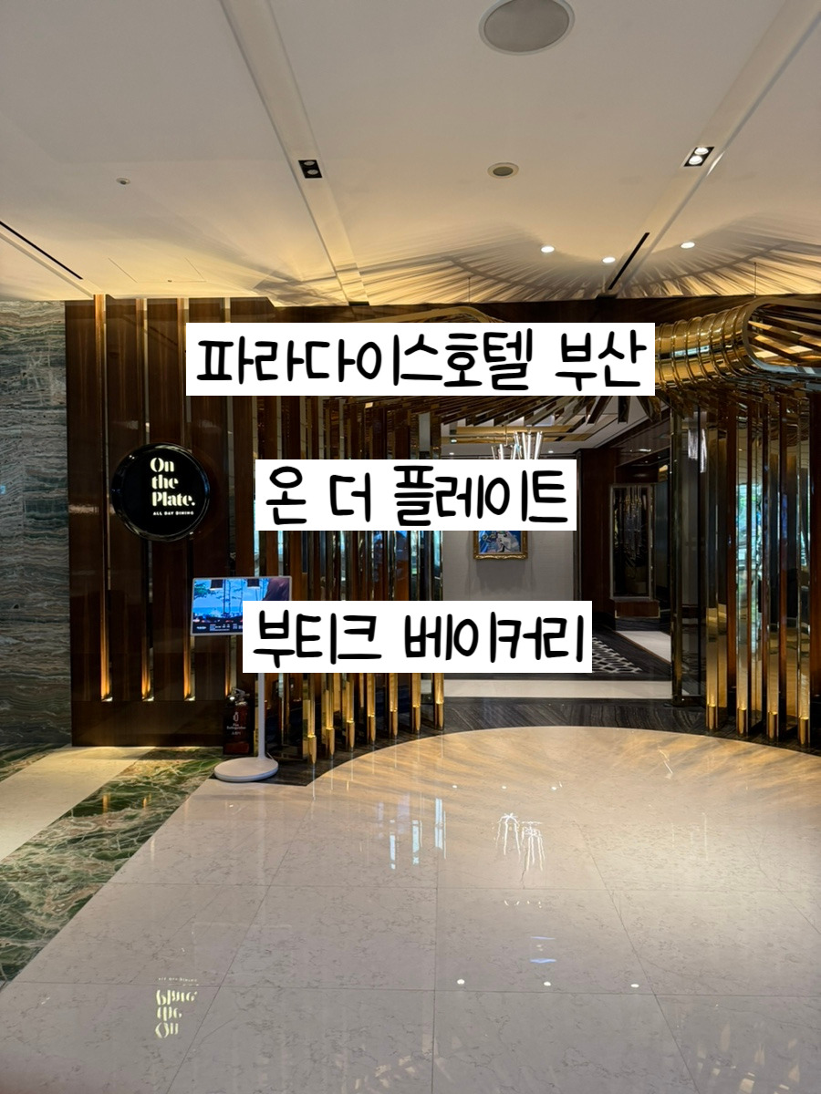 더플레이트 이미지