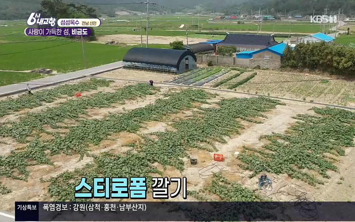 6시 내고향.E7571.220709p.H264-F1RST.mp4_20220709_174224.914.jpg