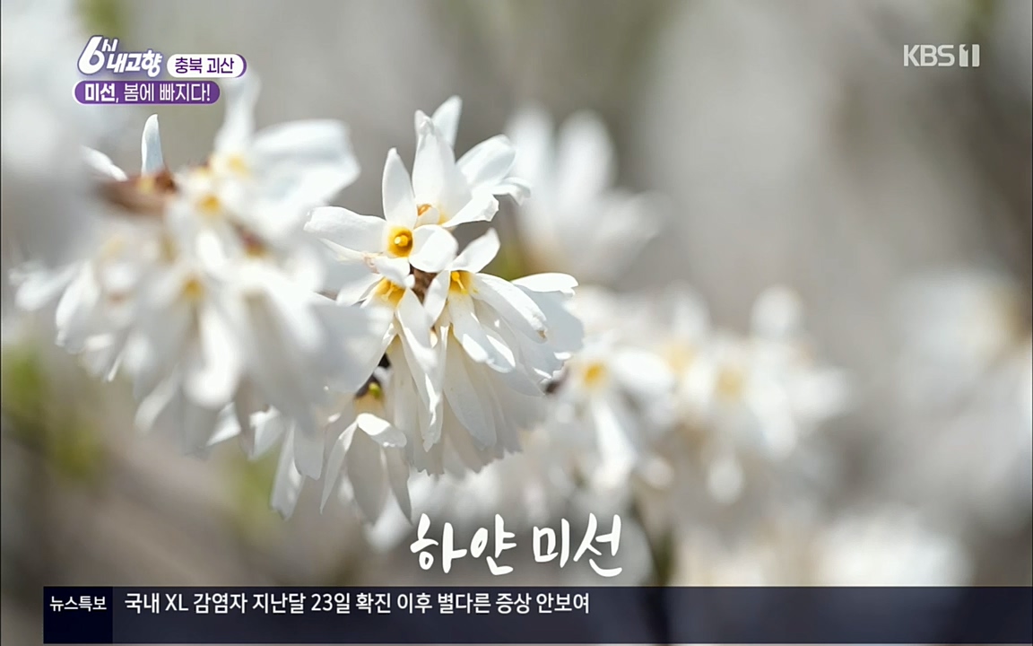 6시 내고향.E7509.220413p.H264-F1RST.mp4_20220418_191742.701.jpg