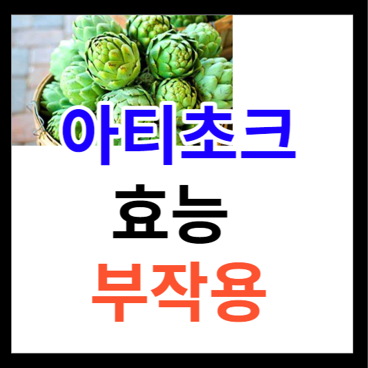 아티초크 효능 부작용