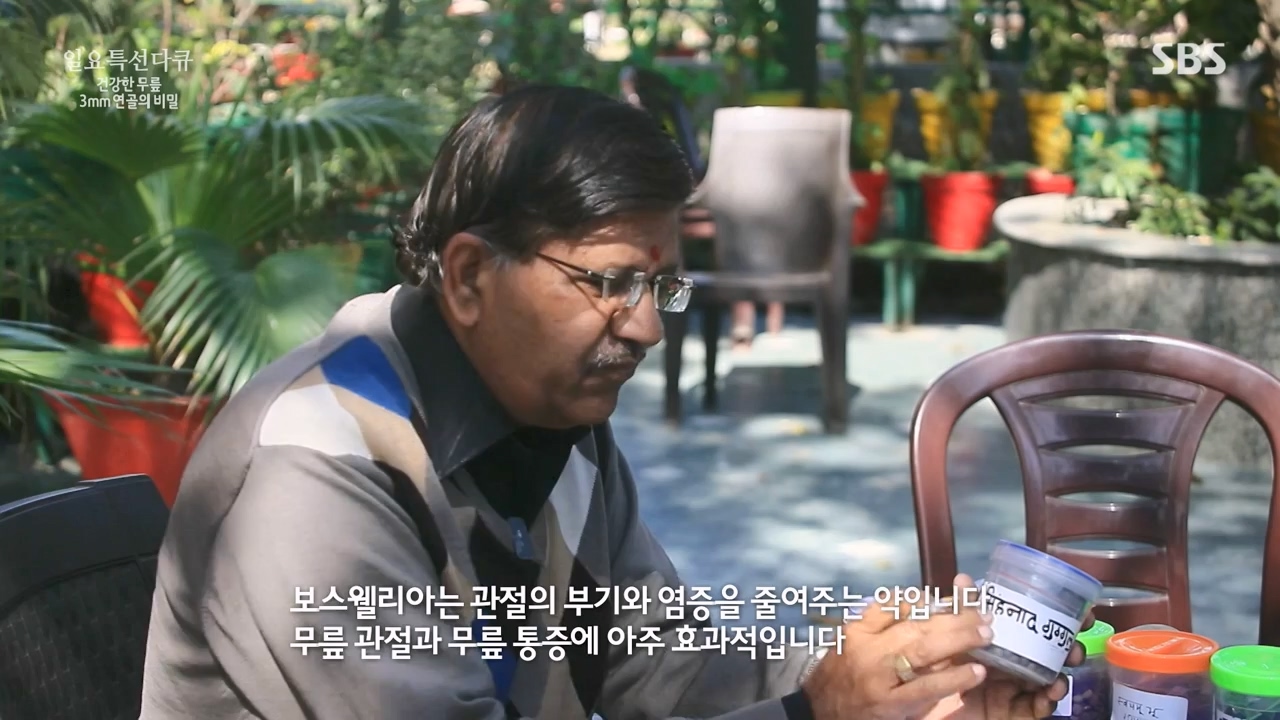 일요특선 다큐멘터리.E341.240318p-NEXT.mp4_20240317_190305.479.jpg