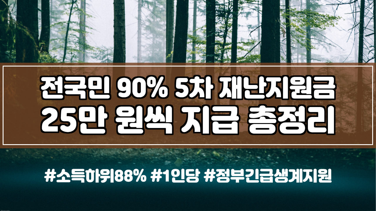  전국민 90% 5차 재난지원금 25만 원씩 지급 (지급대상,지급시기) 총정리