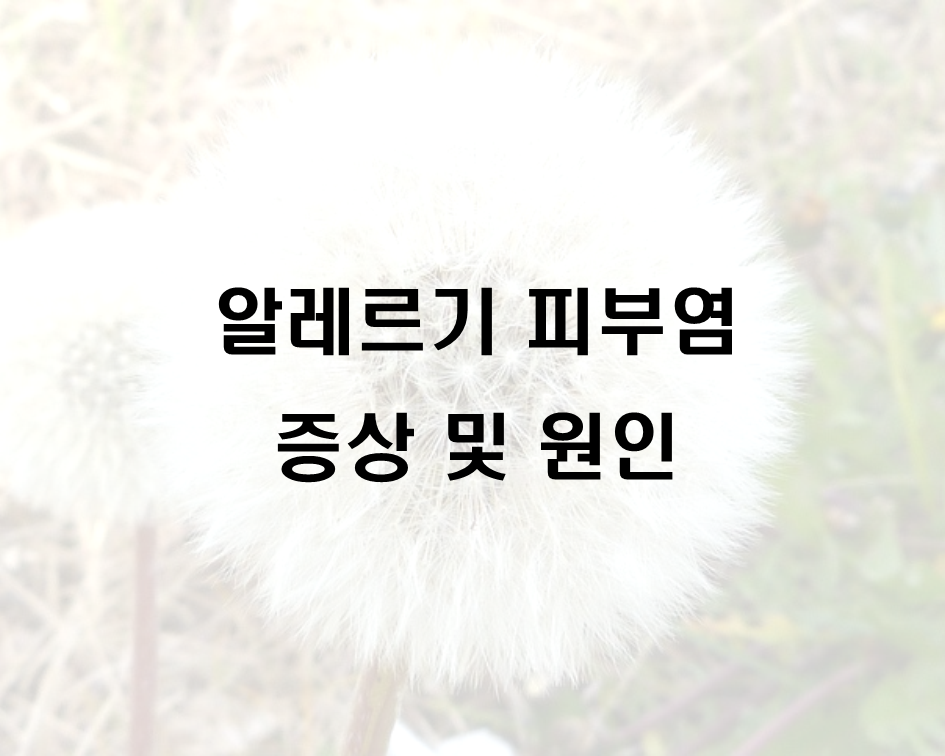 영유아 알레르기 피부염 증상 및 원인