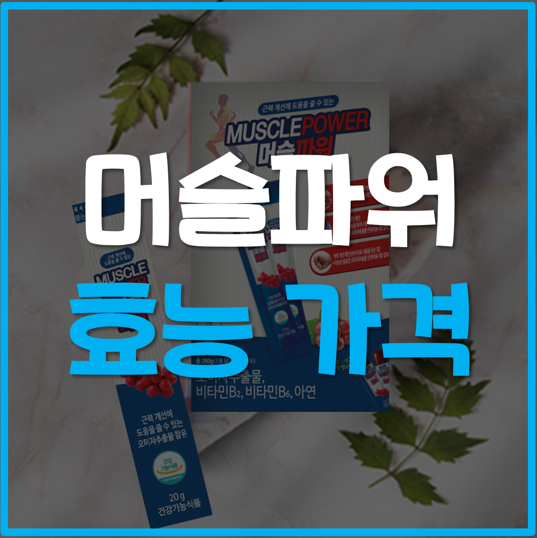  머슬파워 가격 효능