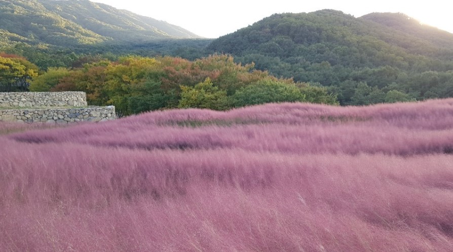 전경 사진