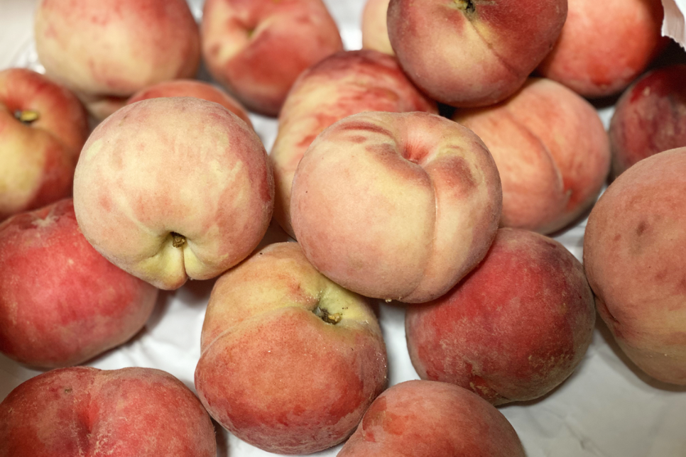 아이 배앓이 대처법 어린이 배탈! 여름철 7