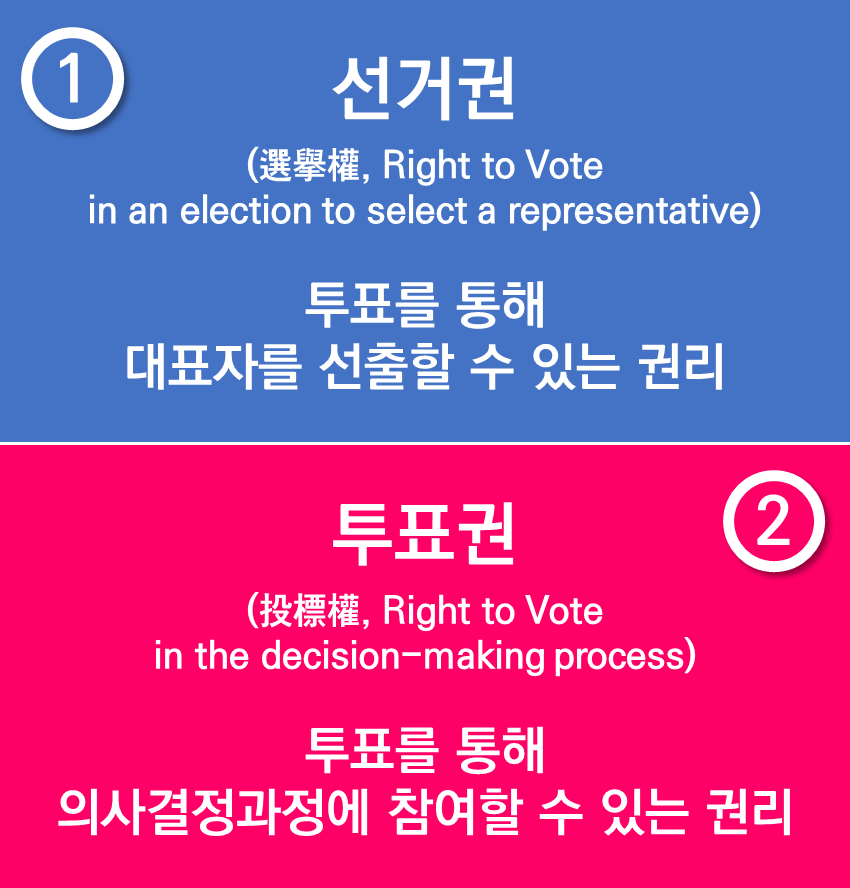 대한민국 거주 외국인에게 선거권(공직선거법)과 투표권(주민투표법)을 인정하는 근거 조항들, 선거권과 투표권의 차이