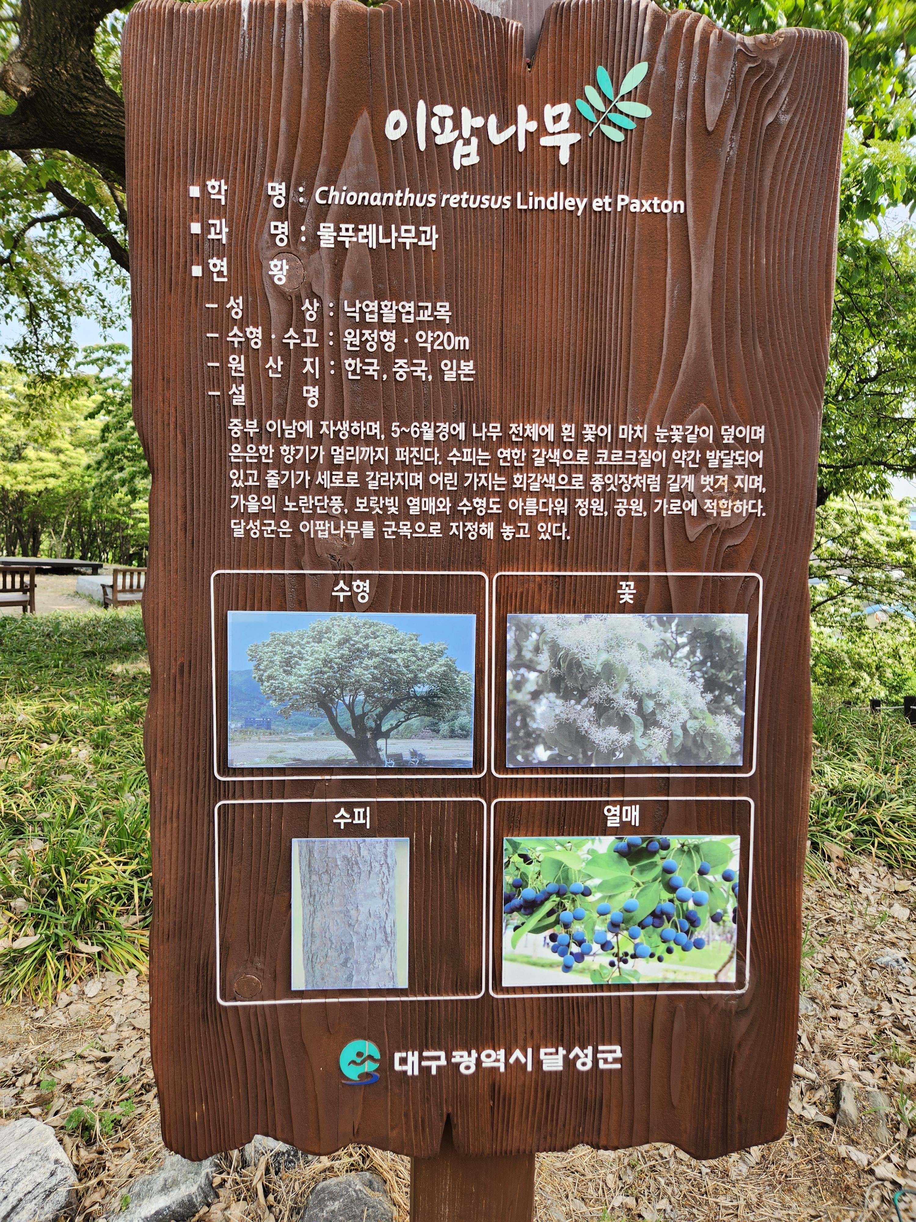 다리목 이미지